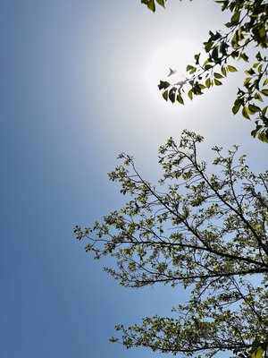 8月６日。のサムネイル