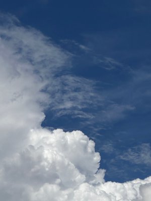 ８月９日のサムネイル