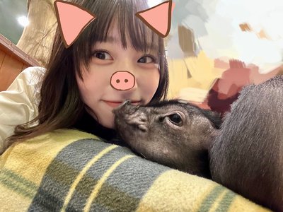 ぶたさん🐷に癒されなされ〜♡ 岸帆夏(きしほのか) - 画像2