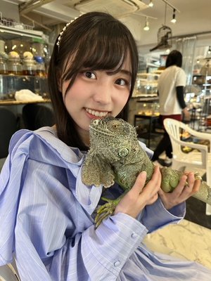 癒しブログ☺️  岸帆夏（きしほのか）のサムネイル