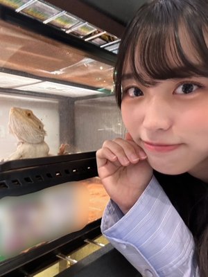 癒しブログ☺️  岸帆夏（きしほのか） - 画像2