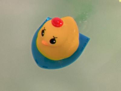🐥のサムネイル
