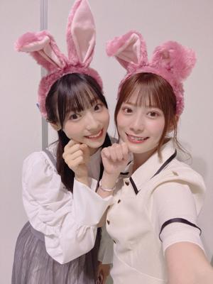 🐇のサムネイル