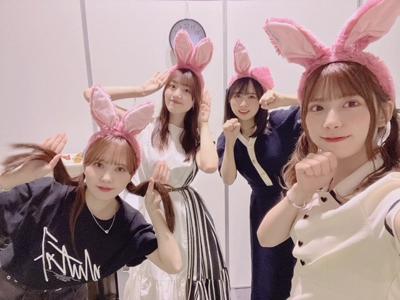 🐇 - 画像6