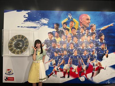 トリコロールのサムネイル