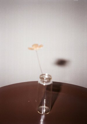 0から1に。 - 画像22