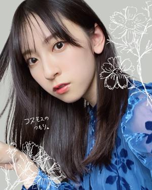 コスモスのつもり。のサムネイル