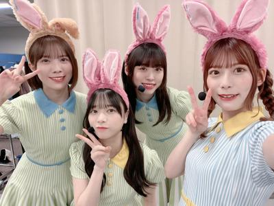 🐰 - 画像3