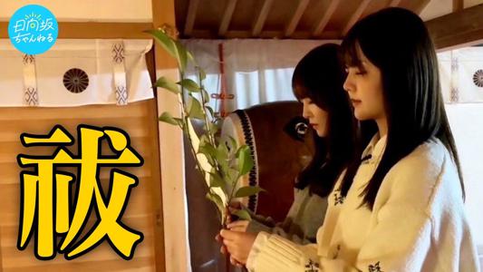 はるはる日記🌱- 日向坂ちゃんねる・グッズ-のサムネイル