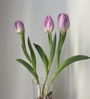 🌷のサムネイル