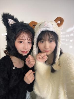 どうぶつ大集合ー！のサムネイル