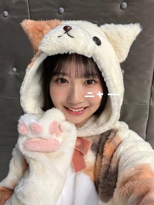 猫の手も借りたいあなたへのサムネイル