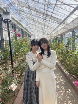 【今日のひなあい】ひらほー考案企画見てね〜！🔎✨️ - 画像3
