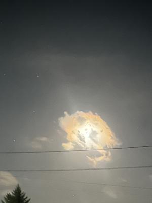 ( ¨̮ )>≡空が広かった - 画像2
