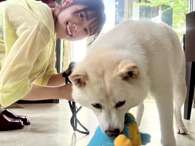 噛ませポカのサムネイル