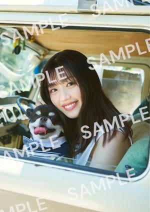 🧸ちゃんポスターのサムネイル