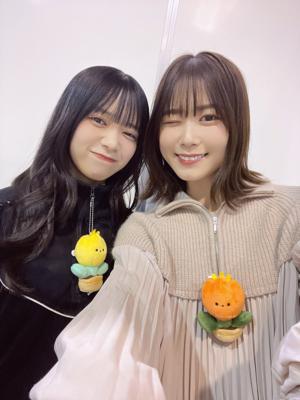 ~日向坂ちゃんねるにて練習生配信！🎮~のサムネイル