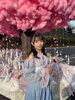 写真がたくさん。のサムネイル