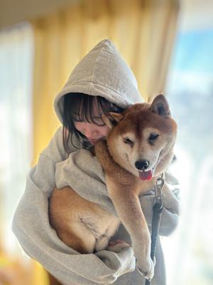 いざ、勝負！ - 画像3