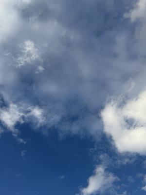 ( ¨̮ )>≡一期生さんのサムネイル