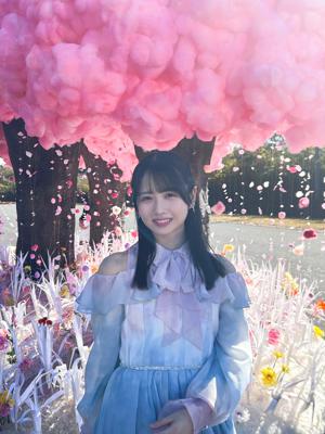 きみがシッテルのサムネイル