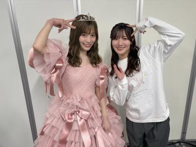 ピンクのひまわりのサムネイル