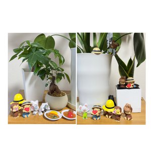 はるはる日記🌱 - プライベートなわたし - - 画像8