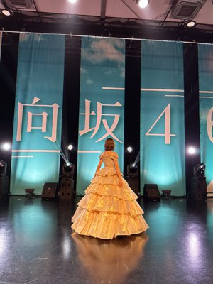 鈴鹿のシケインの鈴花 - 画像5