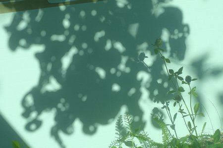 I have a story to tell. Yoko Shogenji すみませんふざけました。正源司　陽子 - 画像4