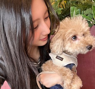 みゃん。のサムネイル