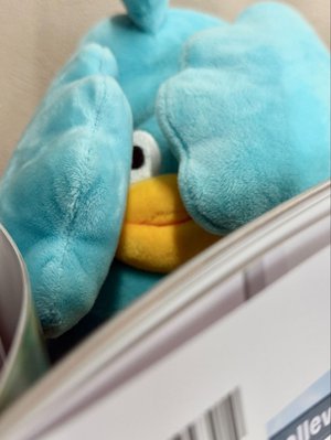 かわたのしゃしんしゅうみてみた - 画像5