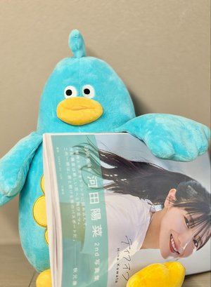 かわたのしゃしんしゅうみてみた - 画像6