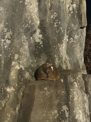 曇の煌めき - 画像18