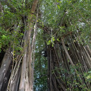 読めばだんだん常夏に感じてくるブログ✈ - 画像6