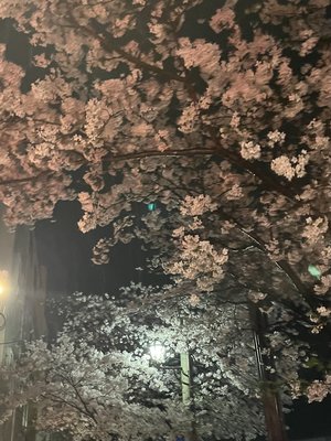 あ - 画像2