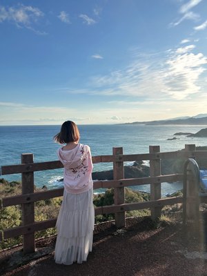 波音のサムネイル