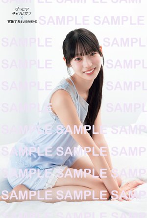 グラビアチャンピオン - 画像5