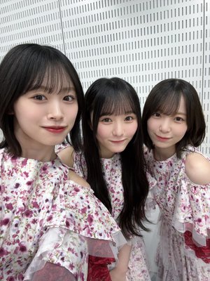赤い花と、青い花 - 画像3