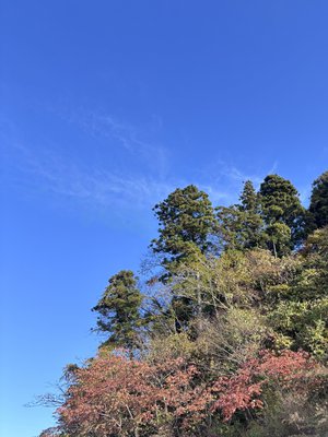 小野まなと大野愛実 - 画像2