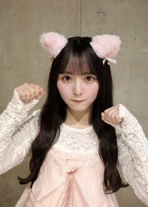吾輩はファイティングポーズの猫である。 - 画像2