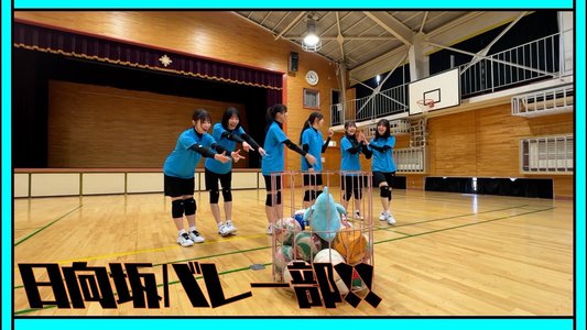 ポカさんバレー - 画像9