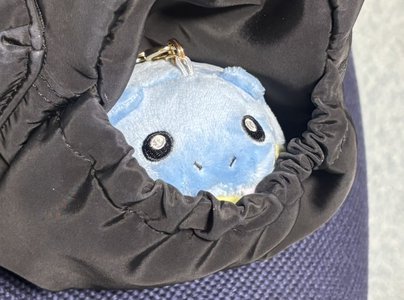 ではなく【ブログ更新☀️メタモン】 平尾帆夏にへんしんしたすがた - 画像3