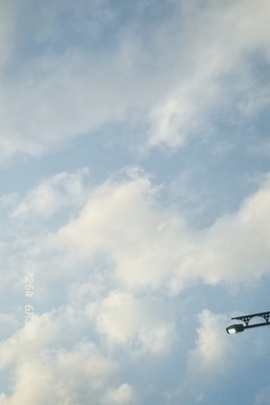 下半期もよろしくです🐱 - 画像2