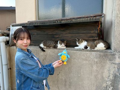 りなし供給のサムネイル