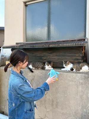 りなし供給 - 画像3