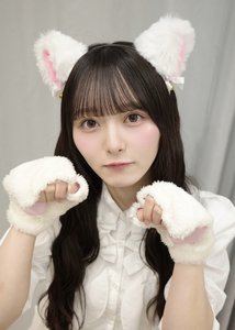 せかいねこのひ - 画像2