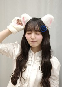 せかいねこのひ - 画像4