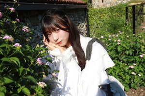  - 画像3