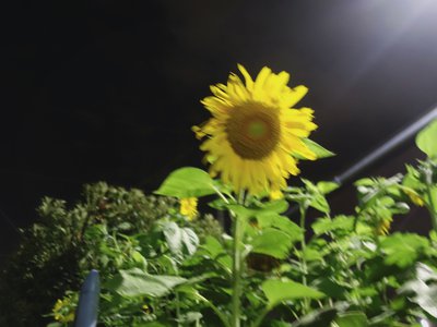 また、顔を上げてのサムネイル