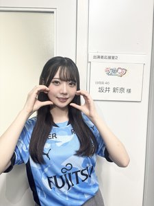 🐬のサムネイル